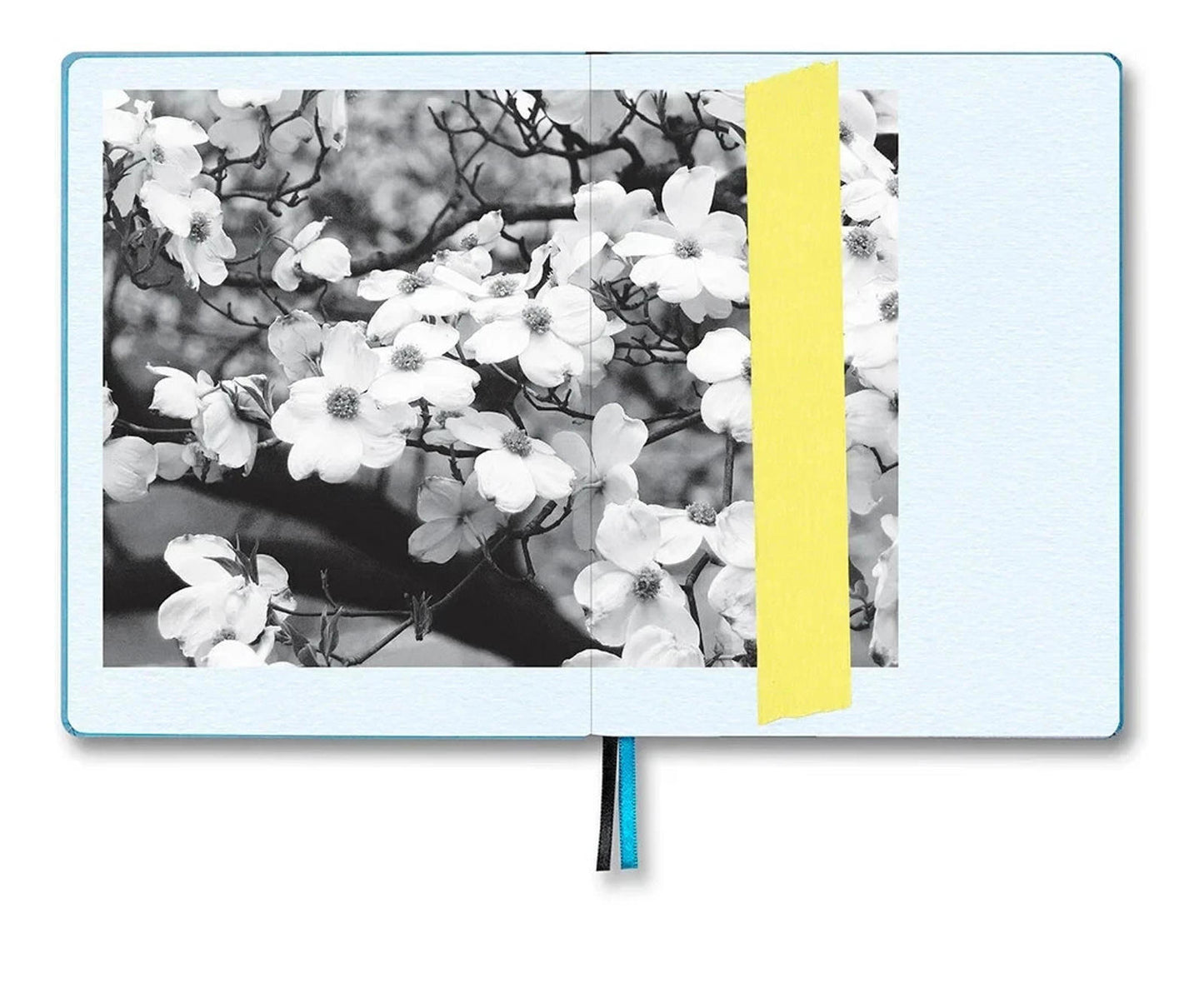 The Important Flowers Planner - Sofia Coppola - 2026