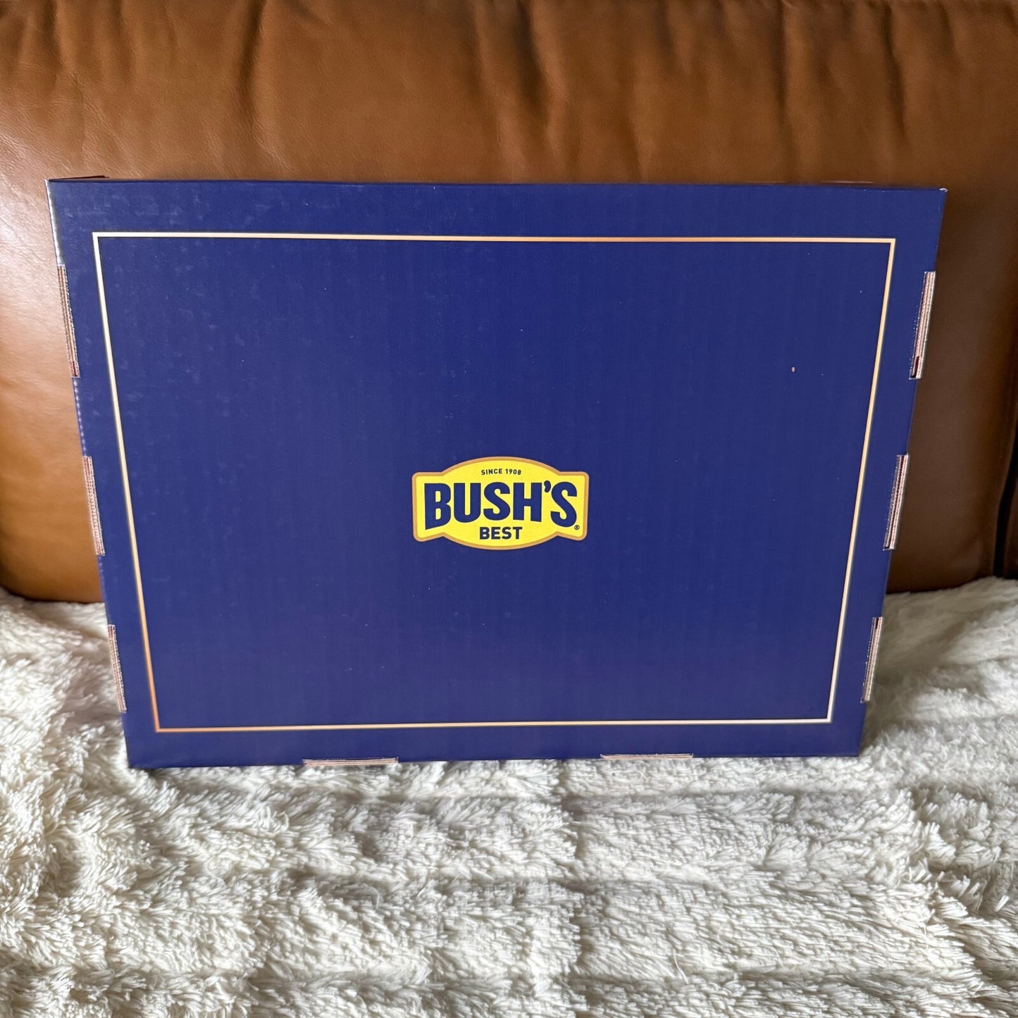 Bush’s Best Beans on Toast Soccer Game Plan Kit Jersey British Baked Beans Promo